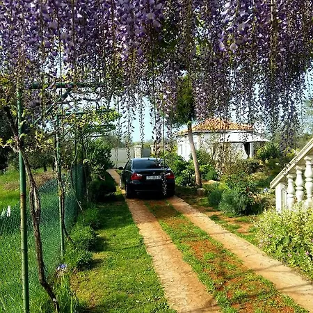 شقة Vortex فاجانا