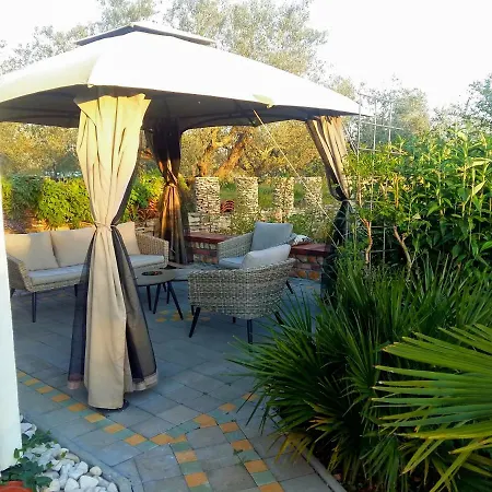 Vortex 아파트 파자나