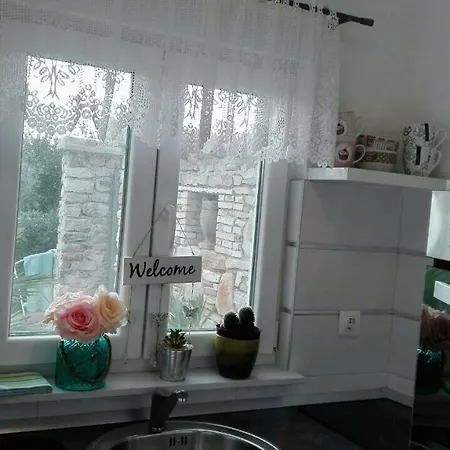 Vortex Apartament *