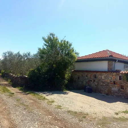 Vortex Apartament Fažana